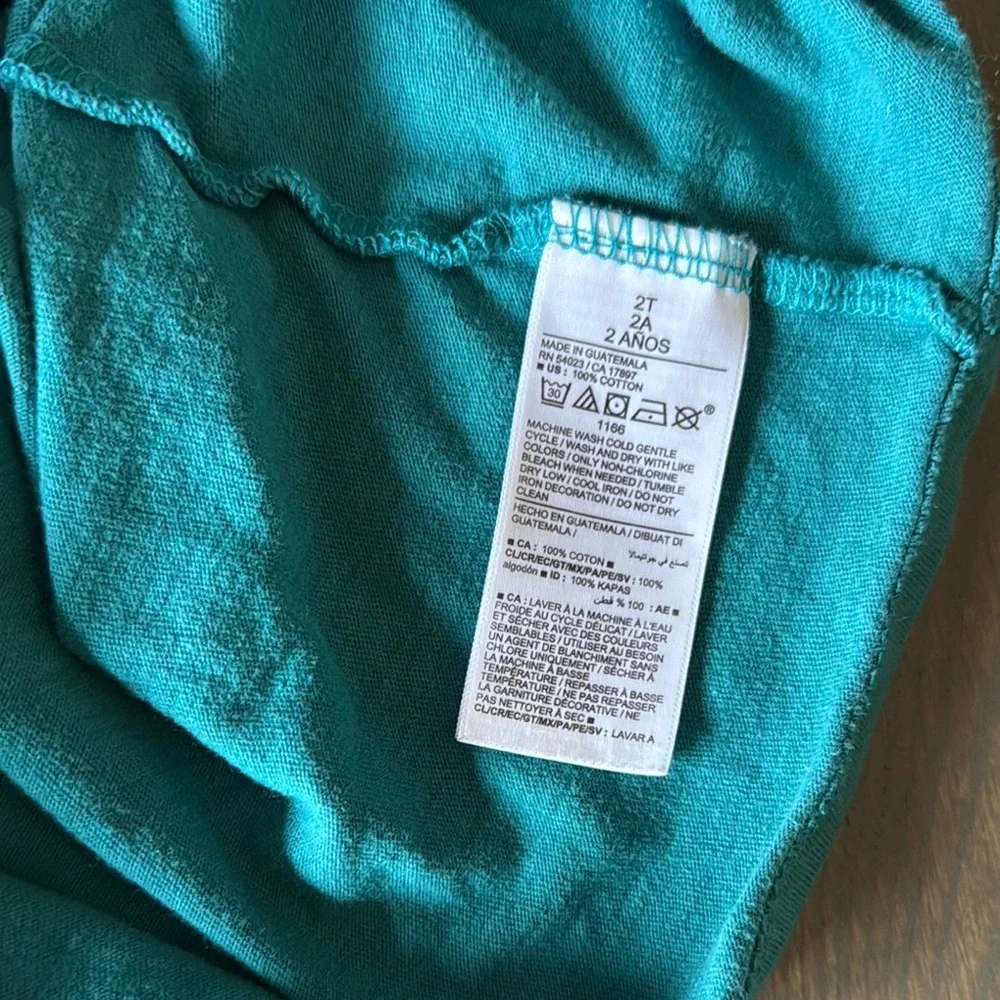 Old Navy Graphic Tees | 2T